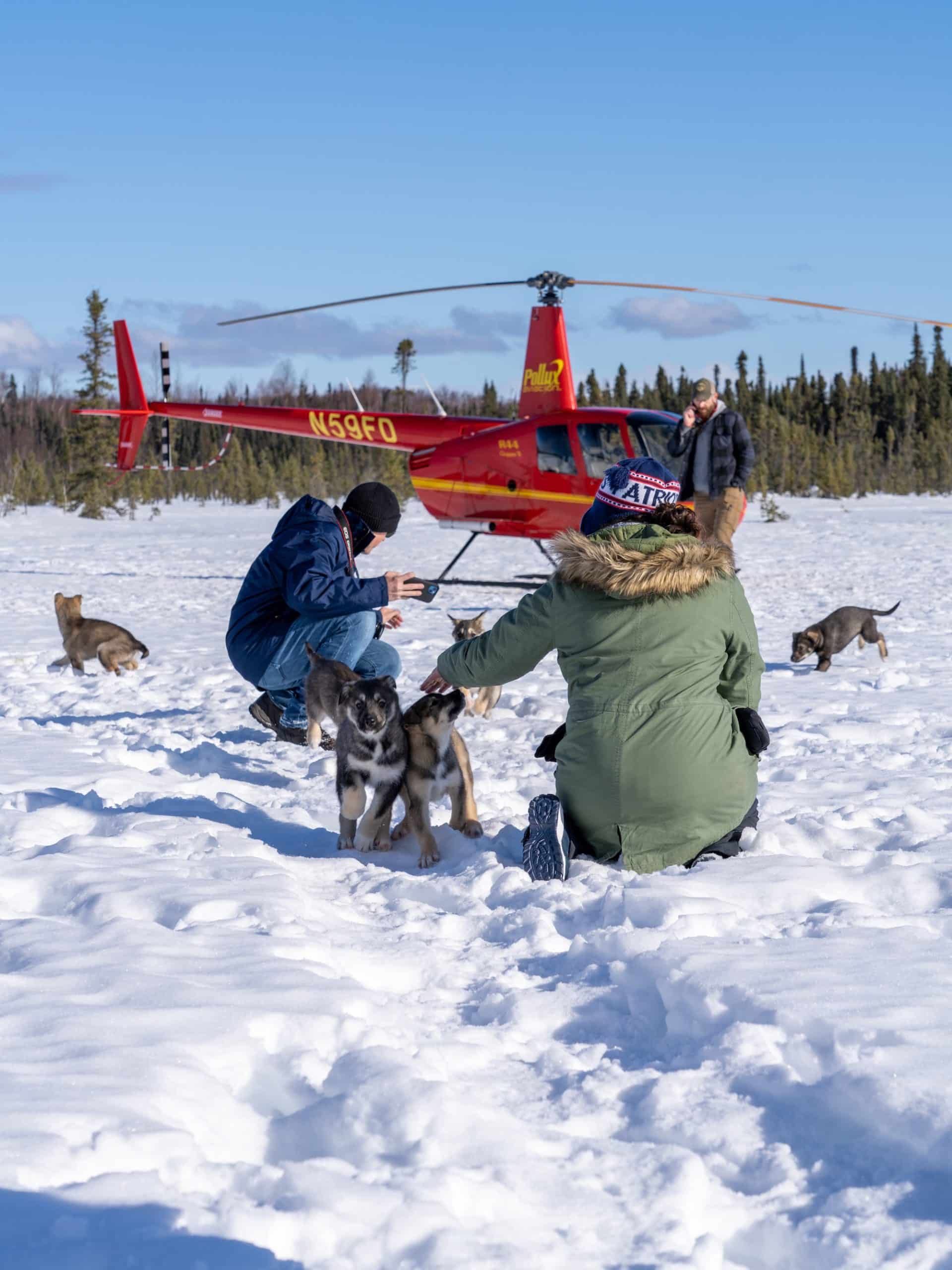 dog sledding outbound heli