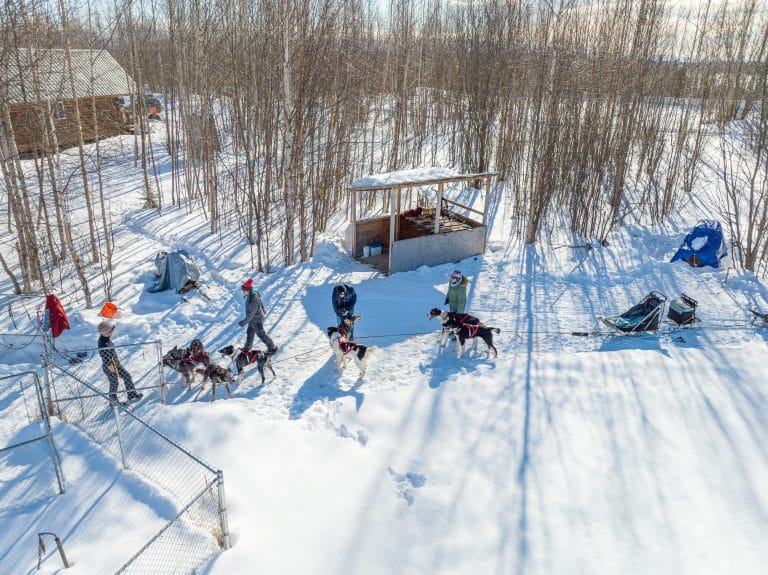 Join an Alaska Dog Sled Tour