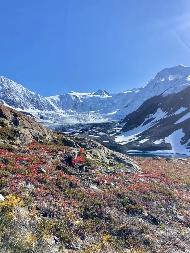 Fall in Southcentral Alaska provides the best views of the season.